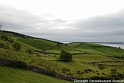 DSC_1176 [800x600]